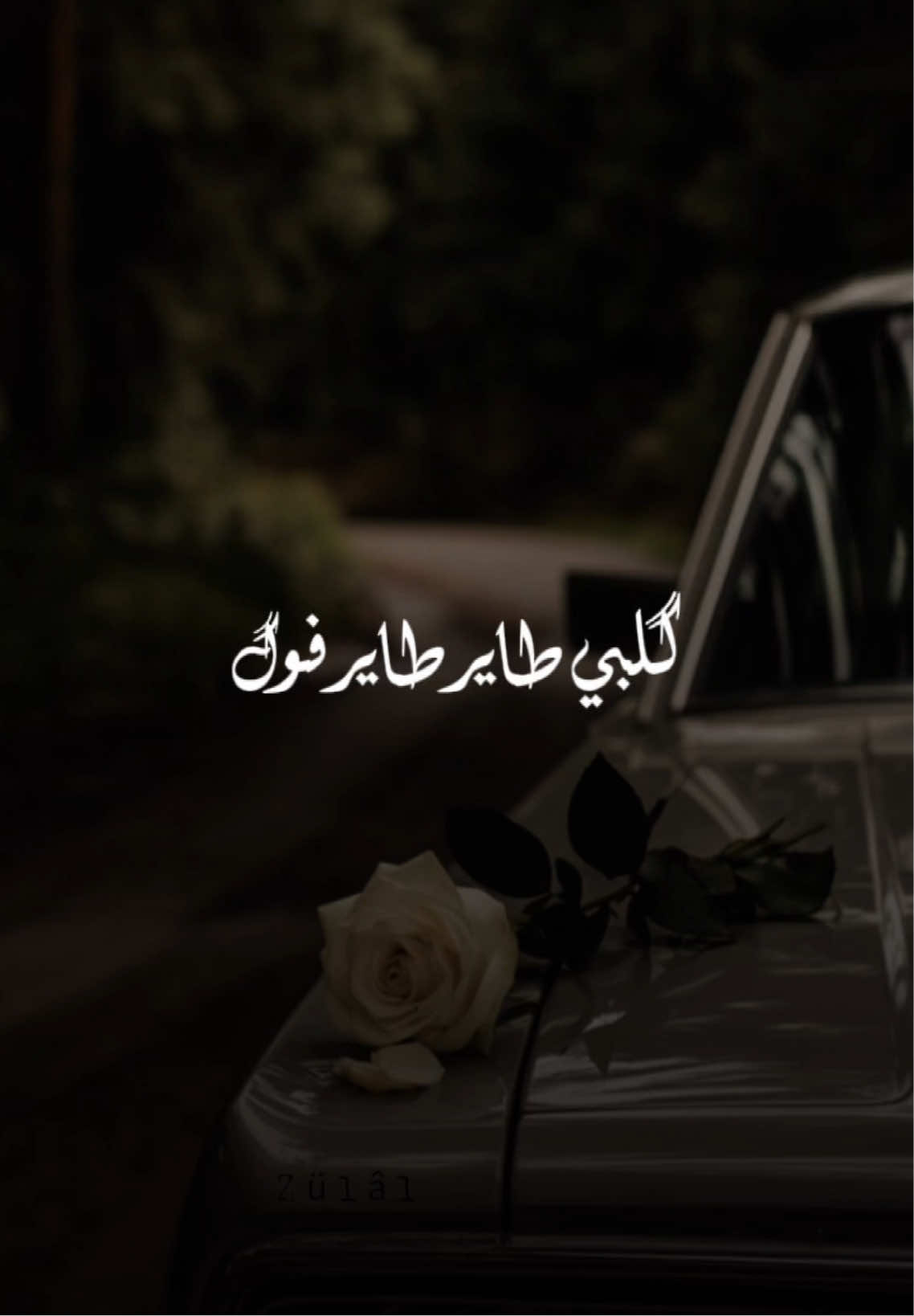 قلبي طاير طاير فوگ💫❤️مثل النجمات الفوگ❤️💫شافك وإستسلم مغرم مغرم صار💫❤️#قلبي_طاير #احمد_ستار #محمد_رمضان #تصميم_فيديوهات🎶🎤🎬 #اكسبلور 