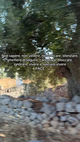 Vivere e lasciar vivere! 