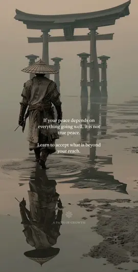 True peace is not the absence of storms, but the stillness that endures within them.  To demand that life bow to your desires is to live in constant disappointment, but to release what is beyond your reach is to discover freedom.  In this way, peace is not something given by circumstance, but something forged within, unyielding to the chaos outside.