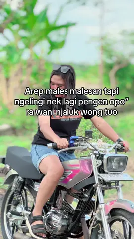 Kabeh dewe og pie 