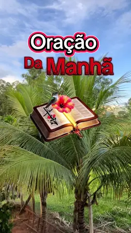 Oração da manhã de hoje. #oracao #mulherdefé #palavradedeus #oracaodamanha #salmo91 