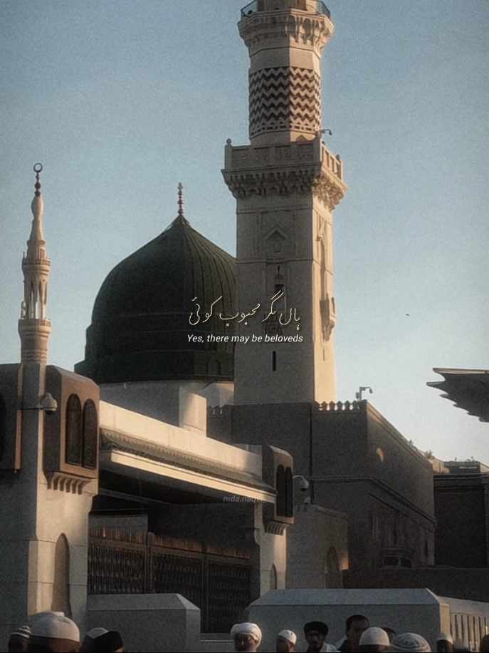 🥹🤍🫶🏻 #yamuhammad #rasoolallah #12rabi_ul_awal #madina #fyp 