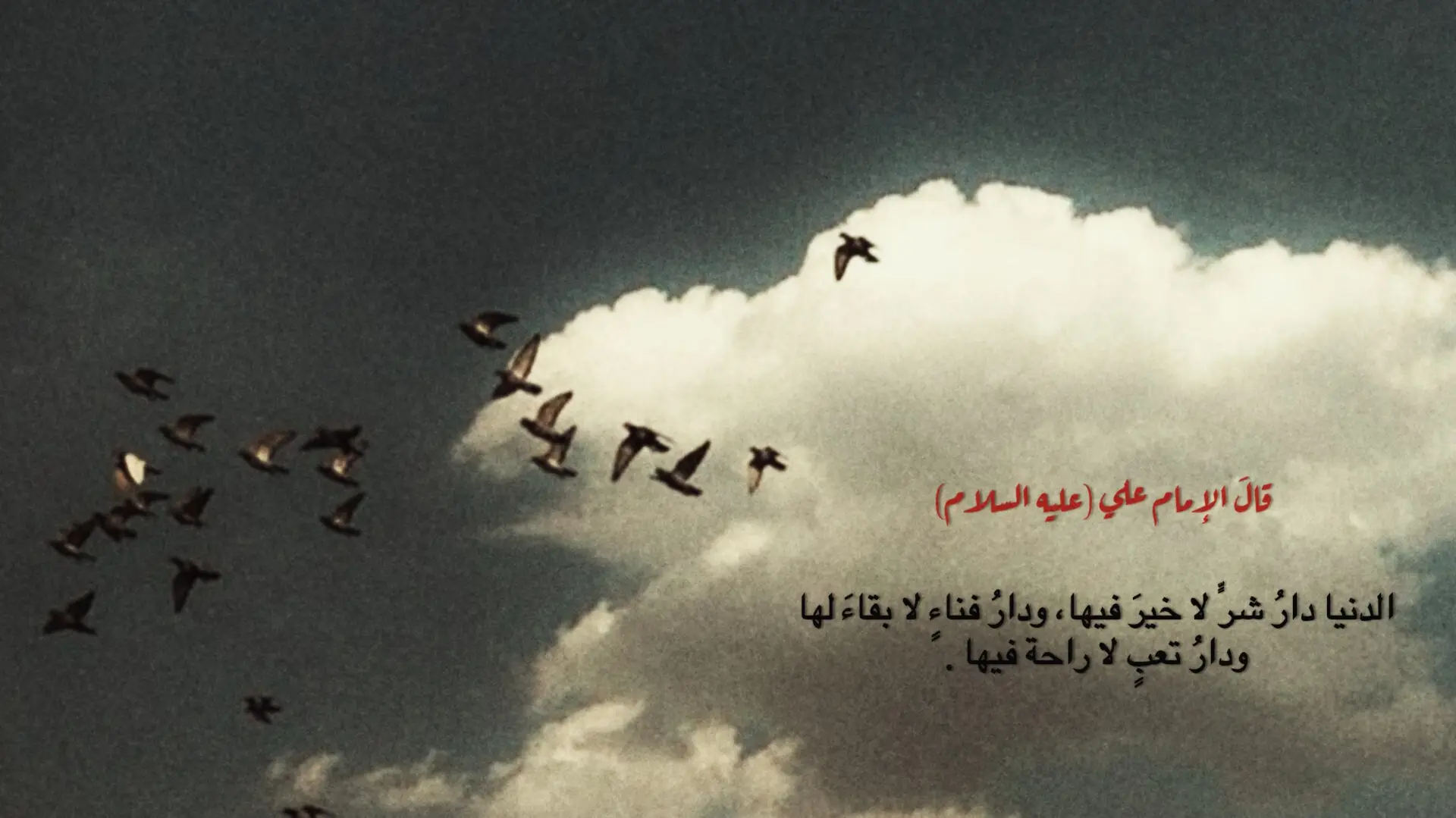 📚 المصدر: جاءت بصيغ متقاربة في نهج البلاغة – قسم الحكم، وكذلك في غرر الحكم للأمدي، ومنها قوله: 