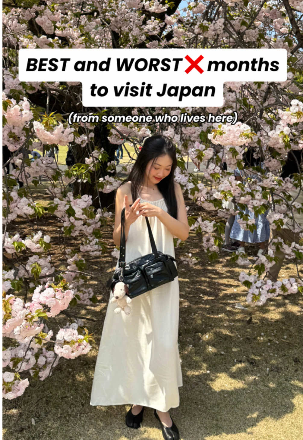 AVOID travelling to Japan during these months 🙅🏻‍♀️ (and when to go instead) #japan #japantrip #japantravel #traveltips #japantraveltips 