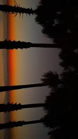 Sunset Rote♥️ #nttpride🏝🔥 #fyppppppppppppppppppppppp #sunset #rotendao #foryoupage 