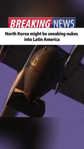 North Korea might be sneaking unkes into Latin America #tintic #northkorea #kimjongun #usa #breakingnews 