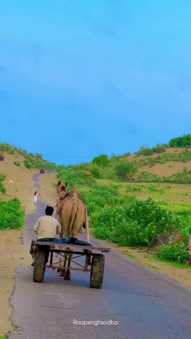 Beautiful views  #viralvideo #trending #viral #achrotharthewhitedesert #short #foryou #foryou 