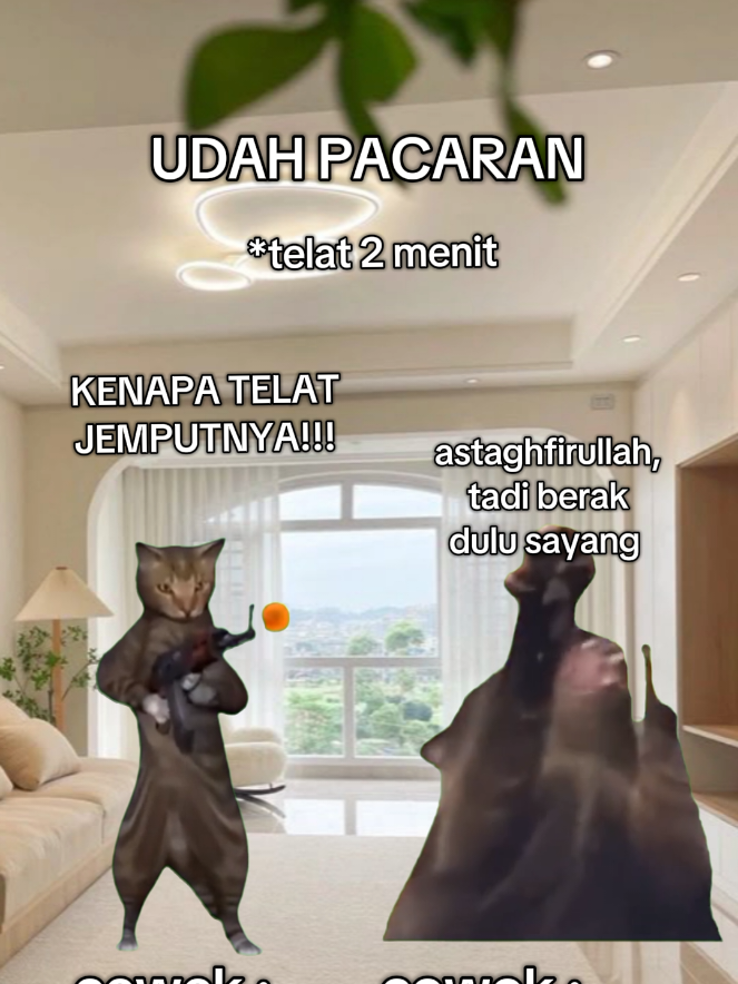 udh dandan 1 jam soalnya 🥰 #foryou #meme #kucing #anvoidr #fyp 
