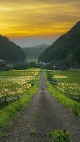 この景色、この香り、この音