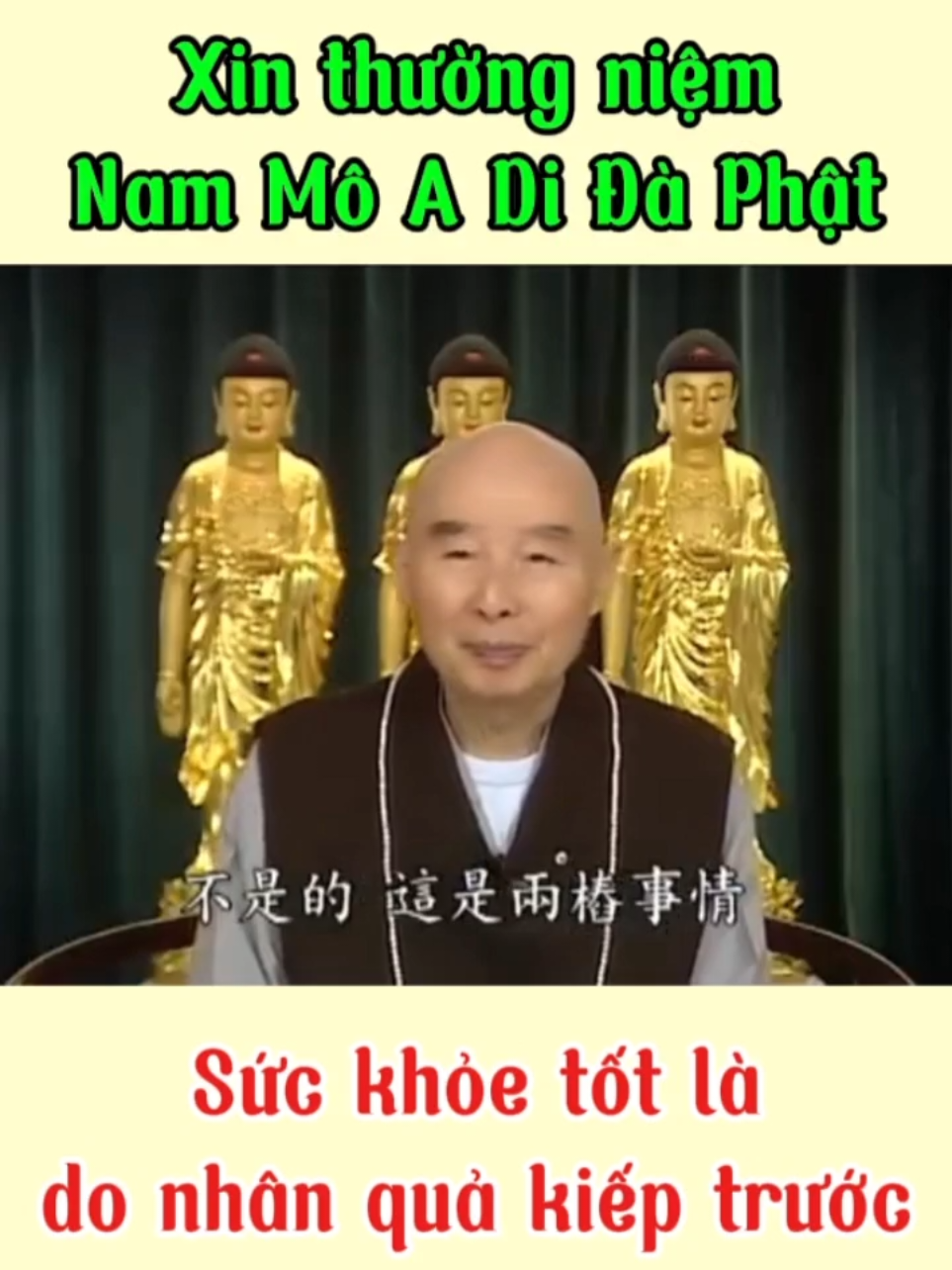 Sức khỏe tốt là do nhân quả kiếp trước Hòa Thượng Tịnh Không  🪷🪷🪷