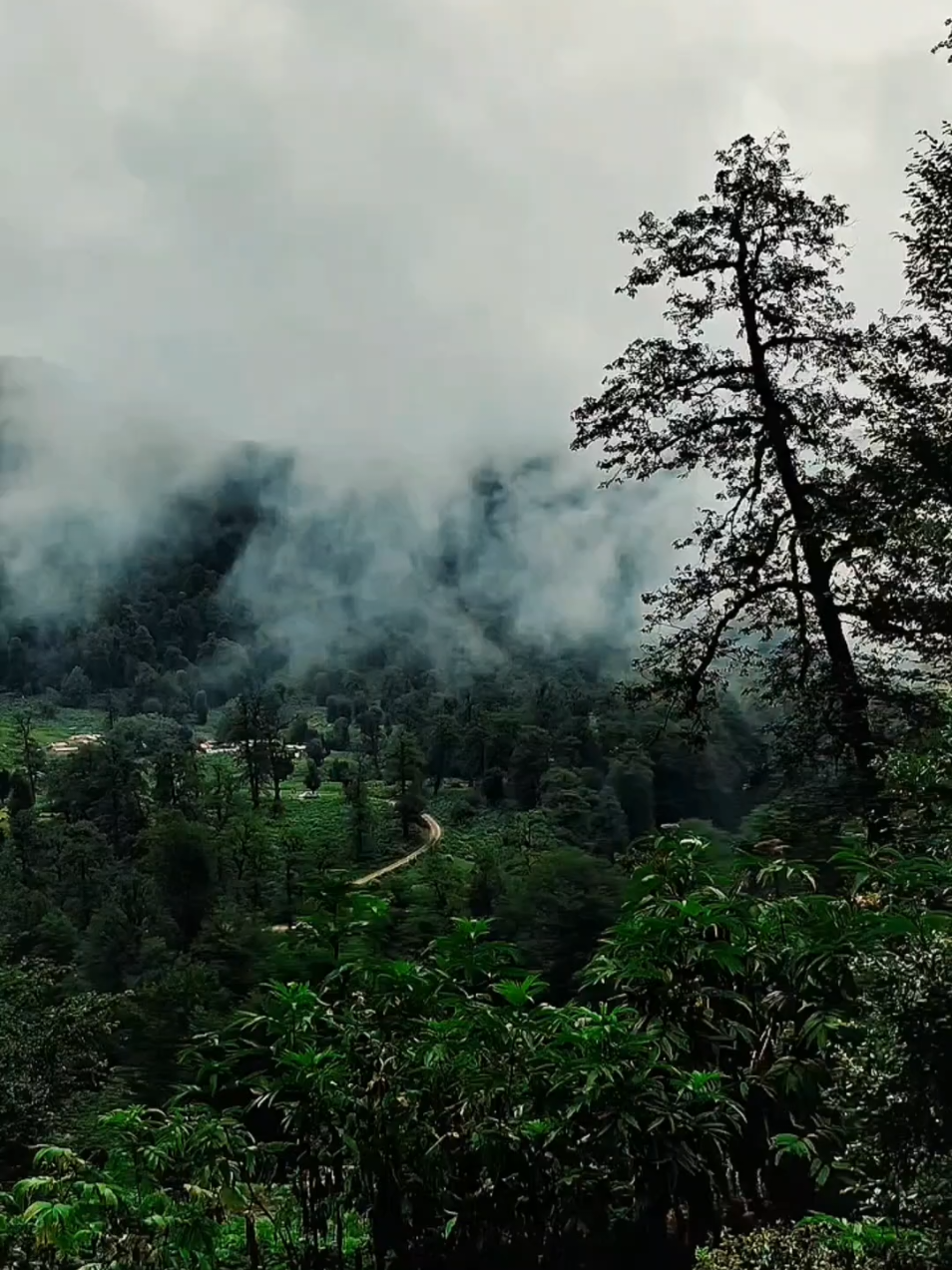 nature view darkness  #darkvibes #darknature #tamilbgm #naturelover #tamilstatussongs 