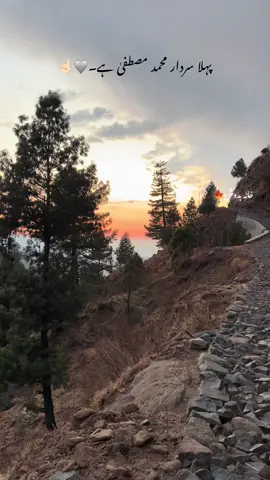 میرا تو سب کچھ  نبی صلی اللہؔ علیہ و سلم ہیں۔🩶