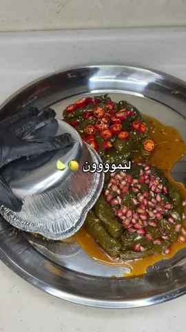 #fypシ゚vira #اكسبلورexplore #ورق_عنب_حامض_سبايسي #اكسبلورررررررررررررررررررر #explore 