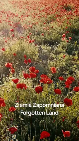 Ziemia Zapomniana #ziemiazapomniana #pozaszlakiem #polska 