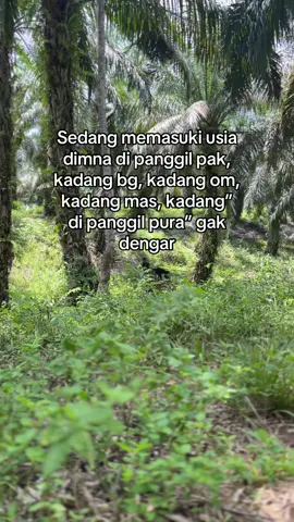 #sawit #sawitontiktok 