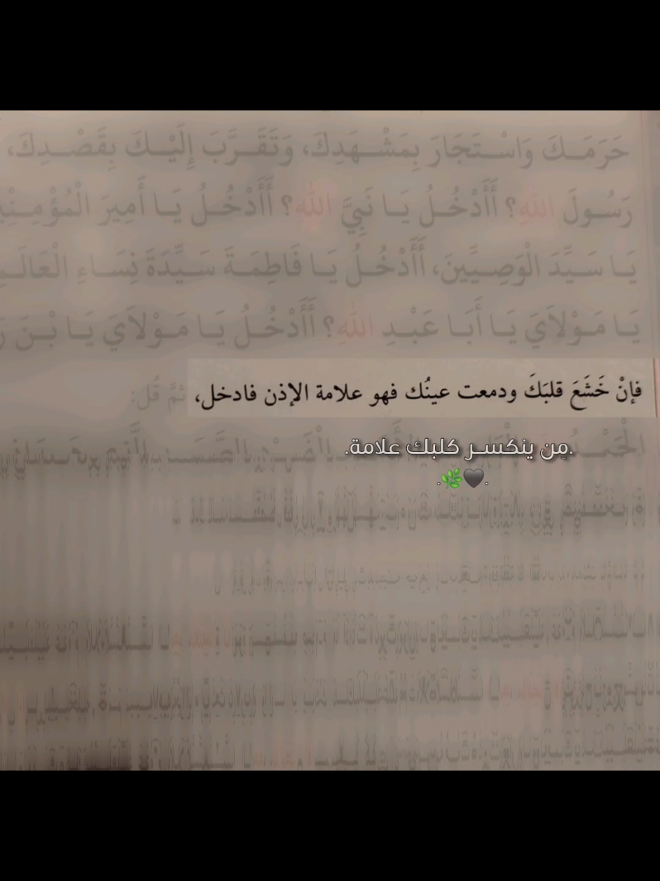 اجييوا الحسين🤍🌿 #زيارة_الامام_الحسين  #الحسين_عليه_السلام  #ضريح_الامام_الحسين  #اللهم_عجل_لوليك_الفرج  #🤍🤍 