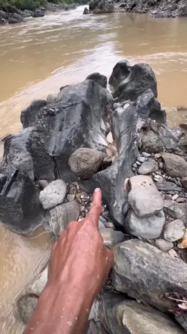Woww!!!#golddiscovery #goldcoin #goldrush #goldprospecting #lookingforgold #goldmining #usa #for 