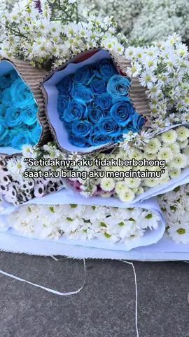 Mawar Biru 💙💙 Nova Florist  (Bakul kembang) Supplier Bunga Segar Sumowono-Bandungan  Semarang  Since 2001  Siap kirim sampai tujuan, dan pastinya Amanah  No Admin 081225780103 #pasarbungabandungan  #novafloristbandungan  #freshflowers💐  #bakulkembang  #fyppppppppppppppppppppppp 