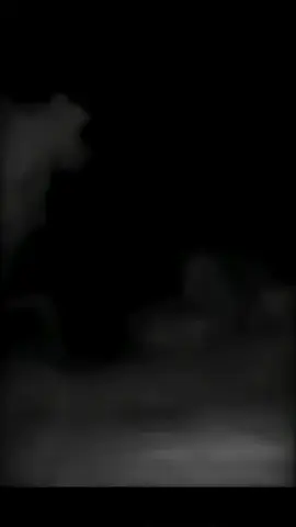 #معلومات عن الذئاب #