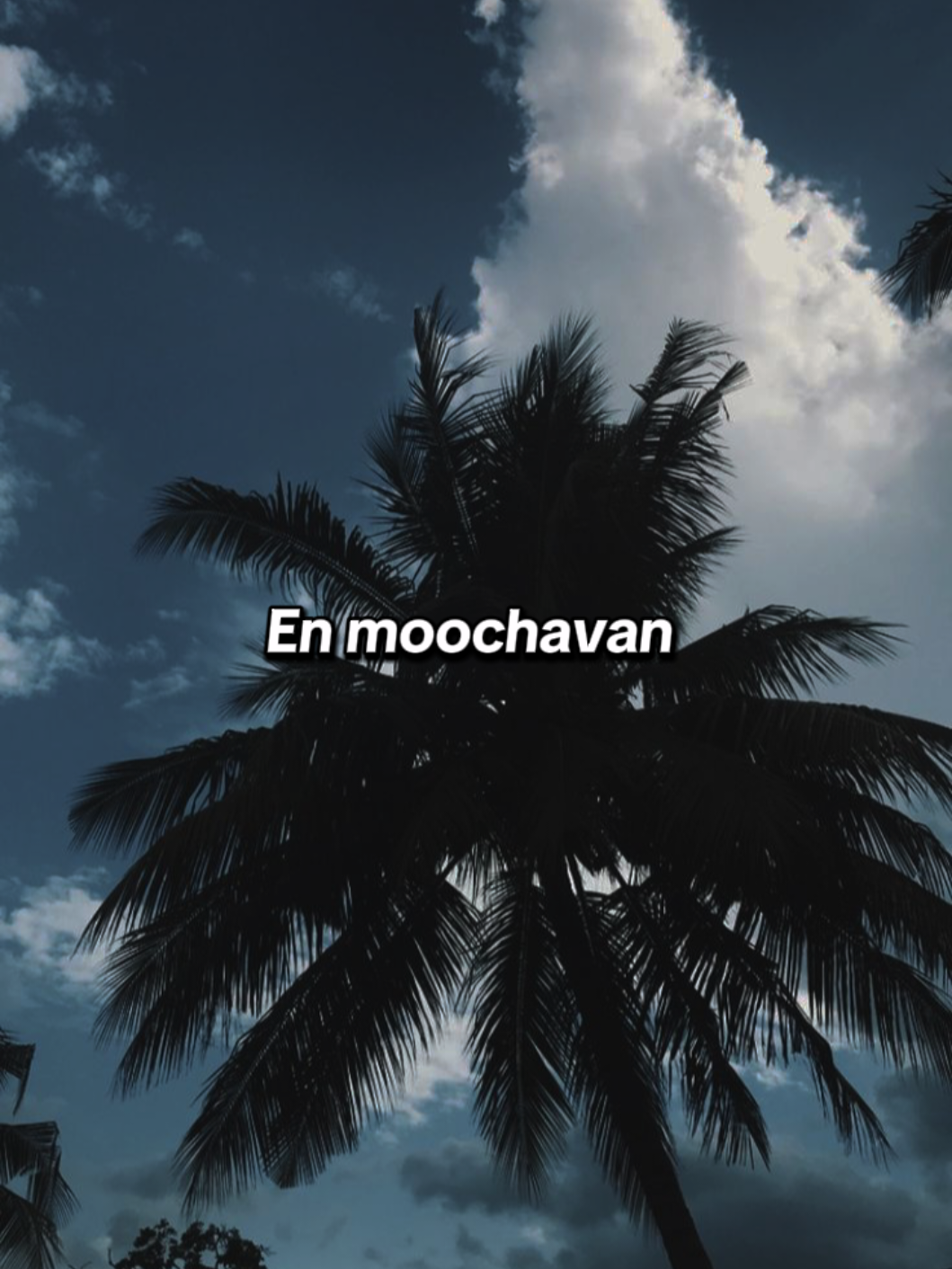 𝐂𝐮𝐫𝐫𝐞𝐧𝐭𝐥𝐲 𝐀𝐝𝐝𝐢𝐜𝐭𝐞𝐝 🥹😚🤍 𝙾𝚘𝚛𝚞𝚖 𝙱𝚕𝚘𝚘𝚍 𝙰𝚣𝚑𝚊𝚐𝚒𝚢𝚊 𝙽𝚒𝚕𝚊𝚟𝚊🌛✨ #pradeep #oorumblood #tamilovesong  #enmoochavan #azhagiyanilavu 