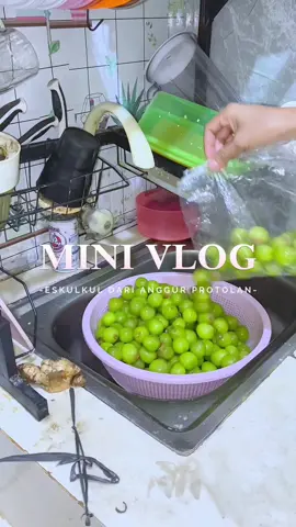 Bagian//350 buat eskulkul dari anggur ijo yang RIJEK #eskulkul #anggurhijau #minivlog 