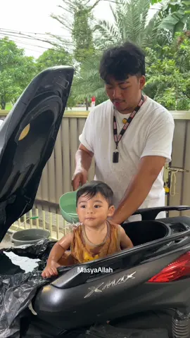 Seger kan arlo?