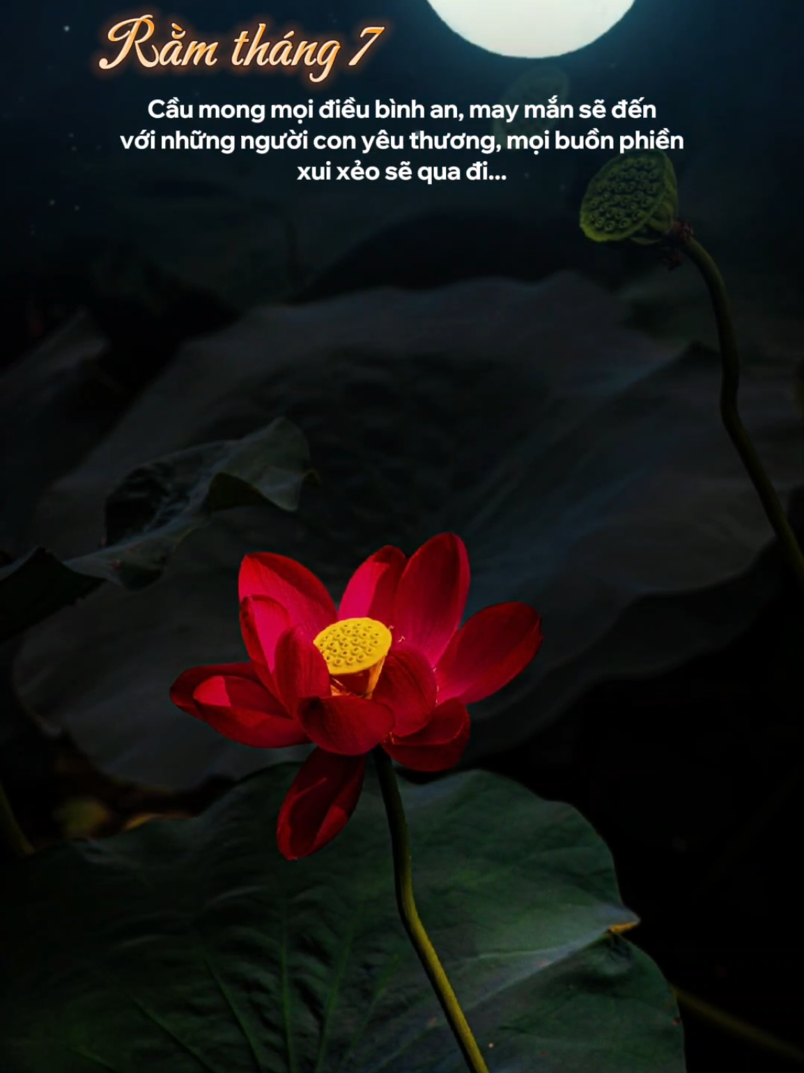 Rằm tháng 7 cầu mong mọi điều bình an... #nhachaymoingay #vulanbaohieu 