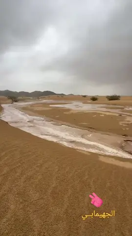 #سودانيز_تيك_توك_مشاهير_السودان💜🇸🇩💜 