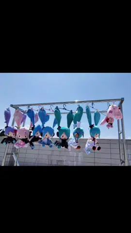 Hanging up Miku🤫🤫#hatsunemiku #miku #mikuhatsune #fyp #mikuplush 