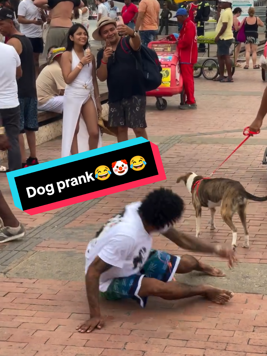 Dog prank 😂🤡😂#prank😂😂 #prankvideo #viral #Trending #unitedkingdom 