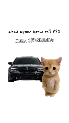 М5 F90. Кисы объясняют 😻