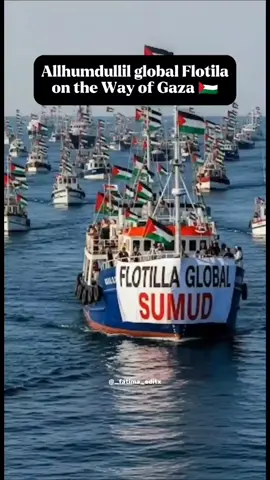 support Gaza 🇵🇸 | Global Sumud Flotila | Palestine  #unfreezemyacount #fypppoppppppppppppppppppシ #globalsumudflotilla #palestine #gaza 
