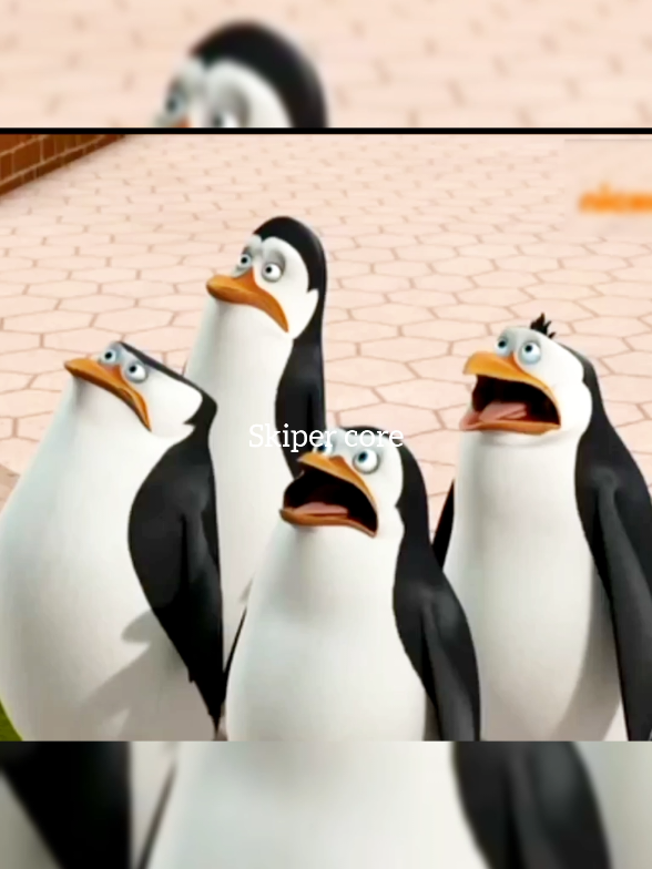 #skipercore #absurd #meme #pinguin #random 