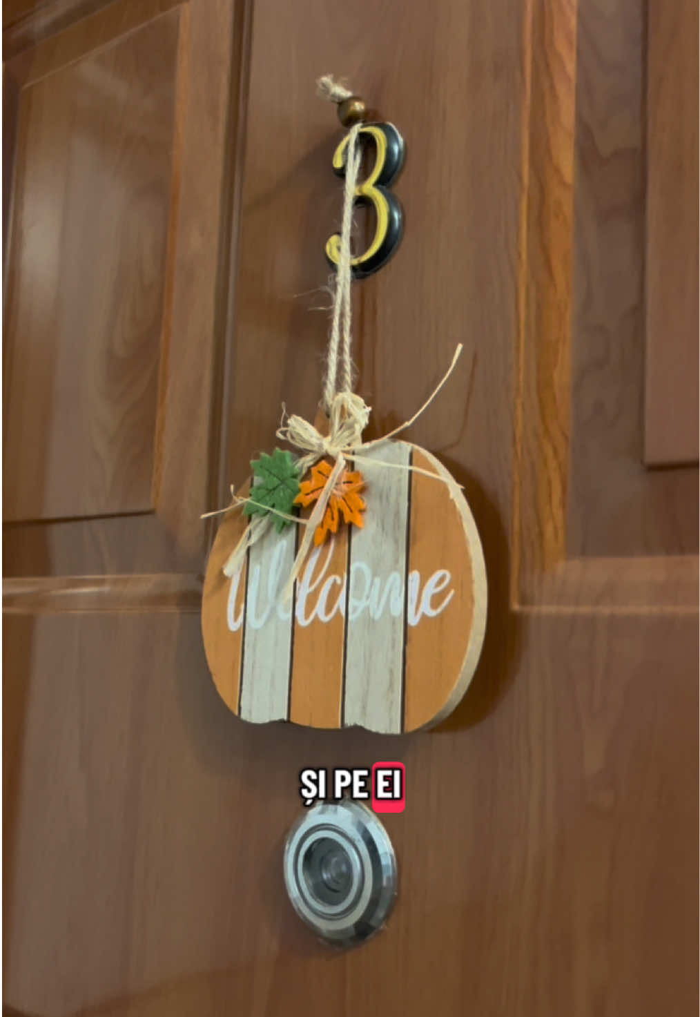 Decorațiuni de toamna de la @Lidl Romania 🍂🍄‍🟫   #lidl #decoratiuni #toamna🍁 #goviral #tiktokviral    