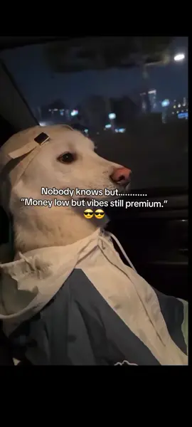 Nobody knows but… “Money low but vibes still premium.” #pointofview #relatable #Nobody #moneyandvibes 