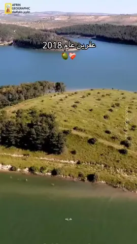 ❤️‍🩹🫒#roj_de #kurdista 
