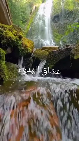 #عشاق الطبيعه والهدوء