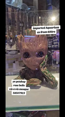imported aquariums as from 600rs only#VoiceEffects 