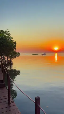 Ekowisata Bale Mangrove🍃 #campingground #camping #lomboktiktok #ekowisatabalemangrove #lomboktiktok #lombokvirall🌴🌴 #lombok #lombokviral #Wisata 