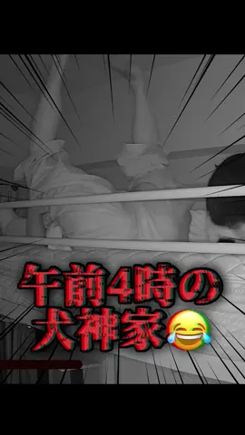 この日は犬神家ポーズを一晩でした回数の過去最高記録を叩き出したと思う🙄寝不足🤣🤣 #猫 #猫のいる暮らし #ペットカメラ #睡眠不足 #おっさん猫