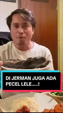 Pecel Lele nggak cuma ada di Indonesia di Jermanpun juga ada malah lebih Komplit dengan lalapan kemangi dan Sambal Jancook. #makan #makanan #pecellele #lele #mukbangeatingshow  