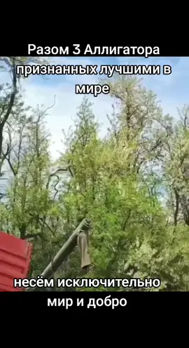 #беларусь🇧🇾 #россия #рекомендации #вреки #врекомендации 