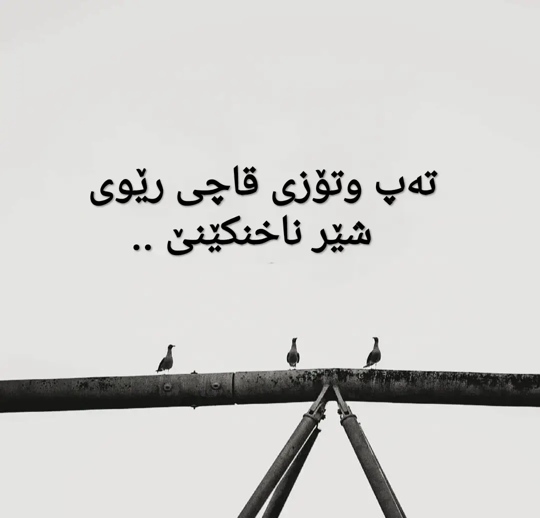 #کورد #کوردستان #سلێمانی #هەولێر #دهۆک 