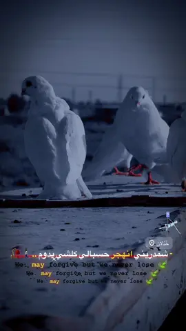 #اللهم_صل_على_محمد_وآل_محمد  @#اكسبلور #مشاهير_تيك_توك #اكسبلورexplore #الشعب_الصيني_ماله_حل😂😂 