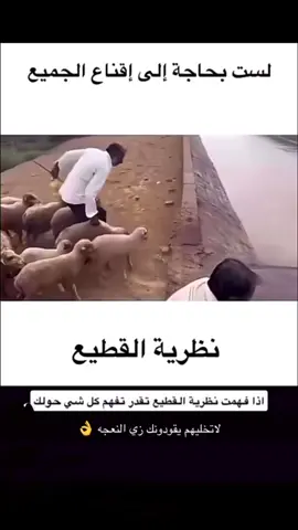#كلام_من_القلب #ارضاء_الناس_غاية_لا_تدرك👍 #meme #💔🥺 #💔🥺 #unfrezzmyaccount #جيزان #ابوعريش #جازان 