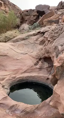 #تبوك #البر #امطارتبوووك 