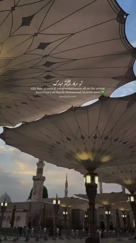 Amad e Sarkar ﷺ Mubarak 💚 12 and 17 are two dates on which Shias and Sunnis celebrate the Arrival Anniversary of our beloved Prophet Muhammad Mustafa (saw)✨ . #12rabiulawal #17rabiulawal #shiavideos #shiacontent #shiastatus 