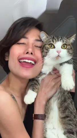 The things we do… #fyp #gigidelana #viral #catlover