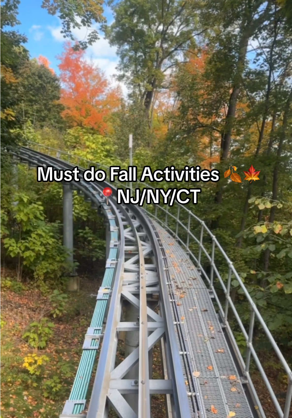🍂🍁Looking for some fall fun? This season is packed with cozy adventures! Check out the details below for some fall inspiration: 🍎 go apple picking  - Alstede Farms - Warwick Valley Winery & Orchards - Demarest Farms - Pennings Orchards 🍷 sip wine at a local vineyard - Aquila’s Nest Vineyards - Laurita Winery - Working Dog Winery - Arrowood Farms - Whitecliff Vineyards & Winery 🎢 Ride a coaster/Scenic Sky Ride - Mountain Creek - Hunter Mountain 🥾enjoy a scenic hike - Giants Ledge - Bear Mountain - Palisades Park - Kaaterskill Falls - Cold Spring Harbor State Park 🧺 plan a picnic with @theseekerwines  🚂 enjoy a scenic railway with @revrailco  Whether you’re chasing thrills or soaking up the foliage, there’s something for everyone.  Tag your bestie who is ready for some fall fun & follow @RosaAlexC for more inspo ✨ . . . . #FallVibes #AutumnAdventures #ApplePickingSeason #ScenicViews #FallGetaway         