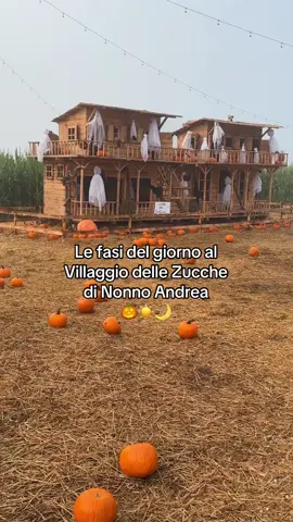 Quando la luce cambia, anche il Villaggio si trasforma! 🥰☀️🌙🎃 🎃 Scegli la tua fascia oraria di arrivo al Villaggio delle Zucche di Nonno Andrea su www.nonnoandrea.it 🎃 Una volta dentro al Villaggio delle Zucche si può testare quanto si vuole! Dal 19 settembre 😍 #zucche #autunno #pumpkinpatch #nonnoandrea 